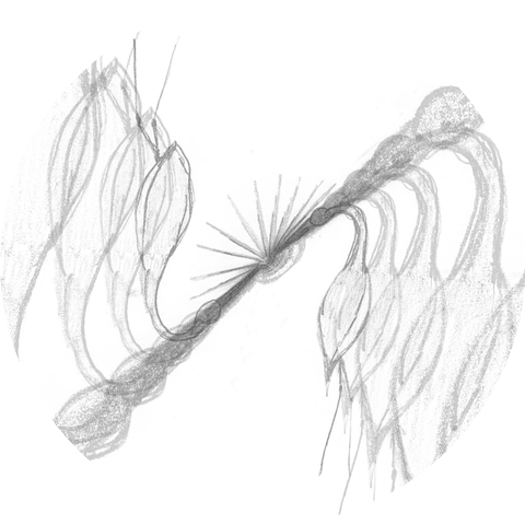 Heavy Necker & Mahri