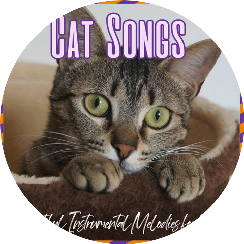 Cats Music Zone & Music for Cats Peace
