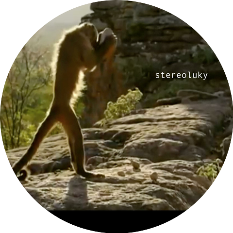 Stereoluky