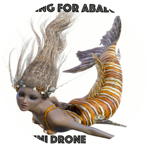 Bikini Drone