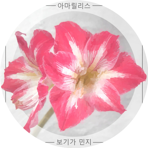 Miga Min-ji