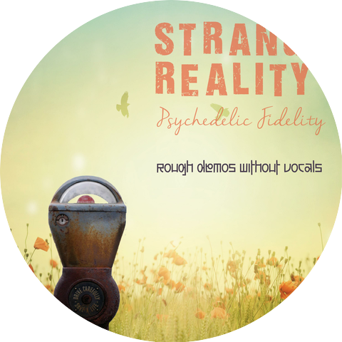 Strange Reality