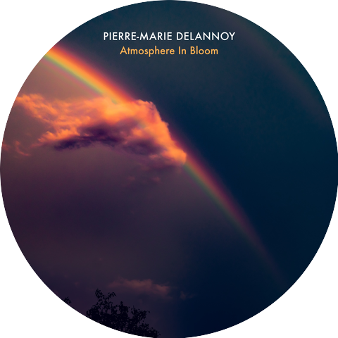 Pierre-Marie Delannoy