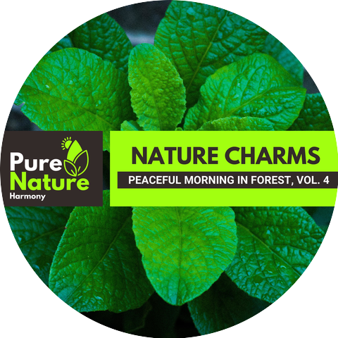 Energetic Nature Atmosphere Sounds