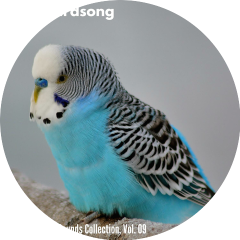 Jose Nature Sleep Sound Library