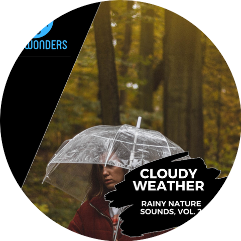 Light Rain Night Nature Music