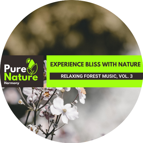 Holy Nature Healing Sounds