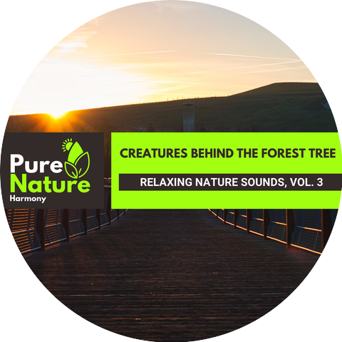 Emotional Nature Soothing Music