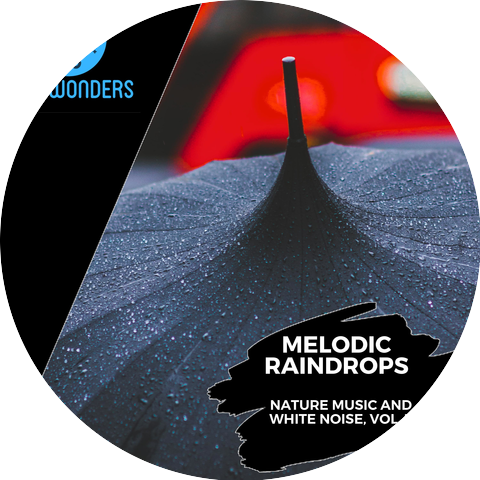 Bubble Bird Rain Sound Library
