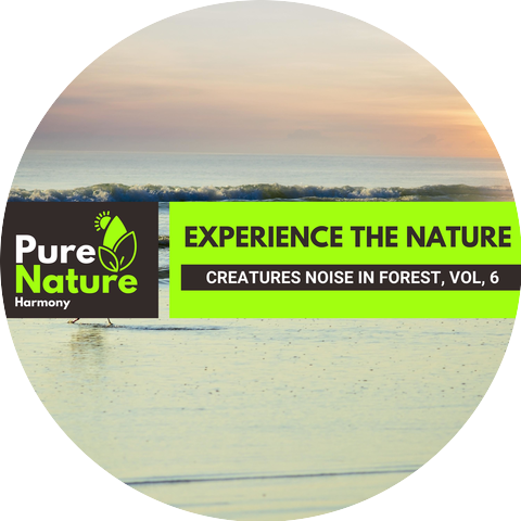 Nature Peace Music Club