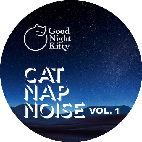 Good Night Kitty