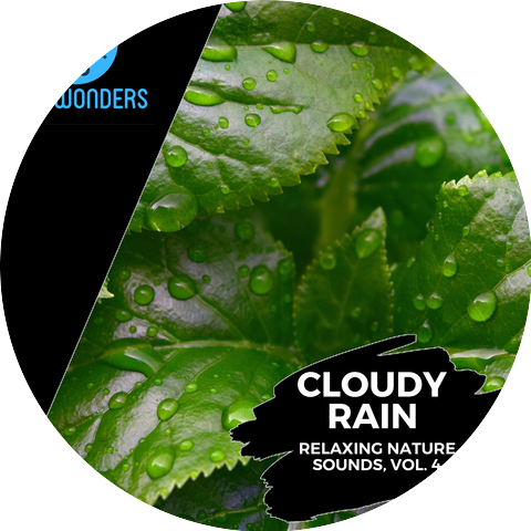 Rain Designer Nature Music Studio