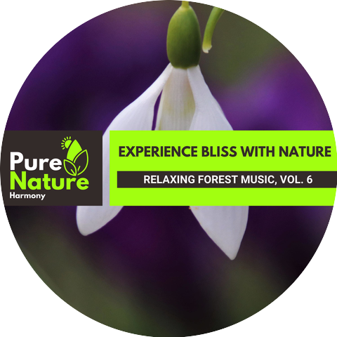 Nature Calm Sound Project