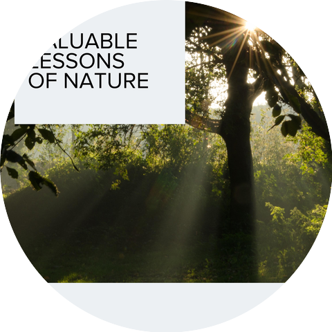 Pure Sounds of Raindrops