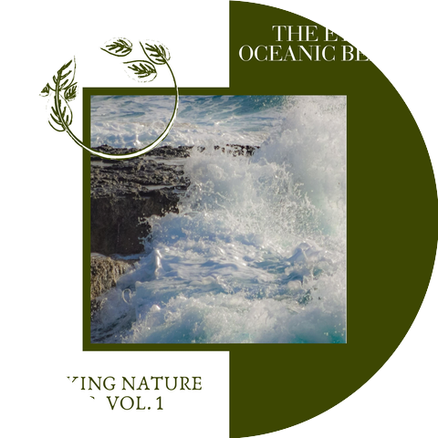 Calming Waves Ocean Music
