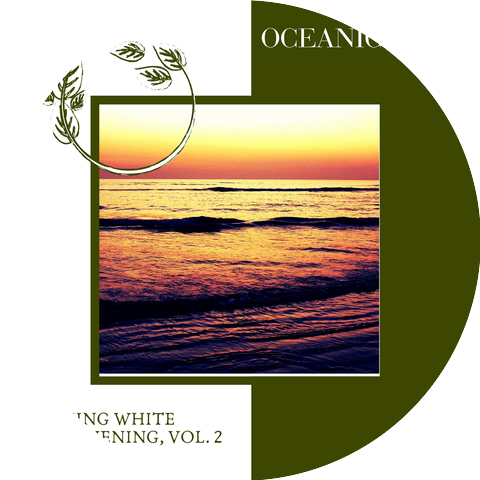 Devotional Ocean Music Project
