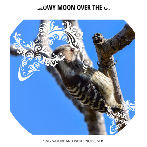 Cosmic White Noise Machine