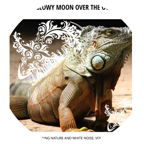 Rinnies Garden Melodies