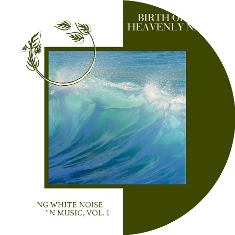 Nellys Ocean Rain Music Project