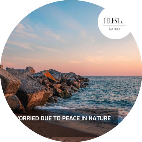Nature Healing Revival Music