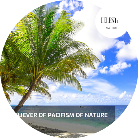 Humble Rain Drops Music