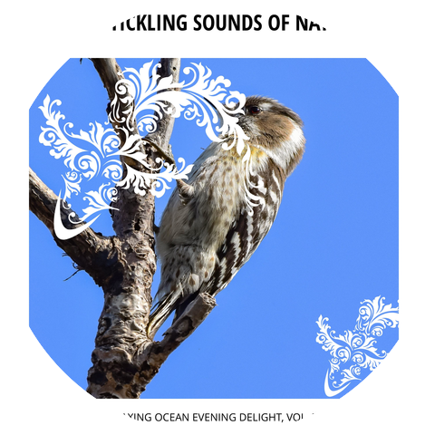 The Ocean Zone Nature Music Library