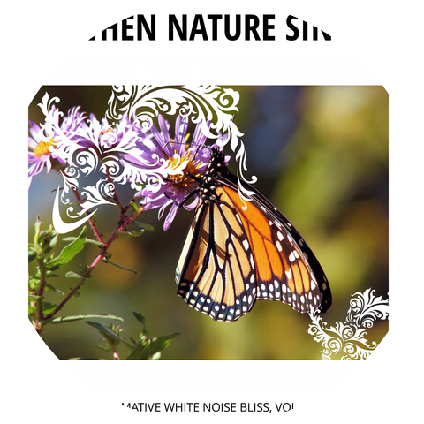 Drizzle Studio Nature Studio