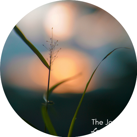 Law of Meditation