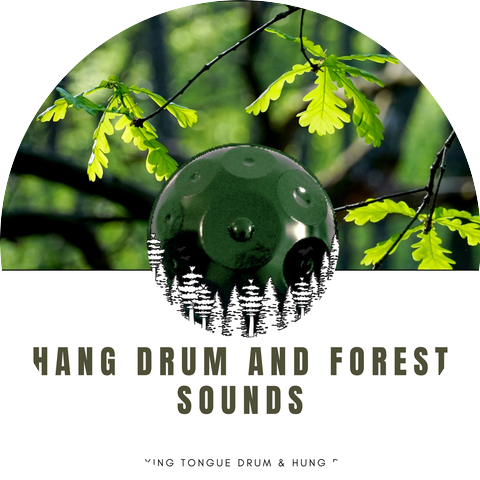 Relaxing Tongue Drum & Hung Drum