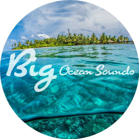 Gentle Ocean Waves