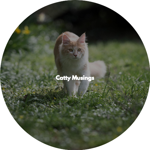 Música atrayente para chill out en mexico city