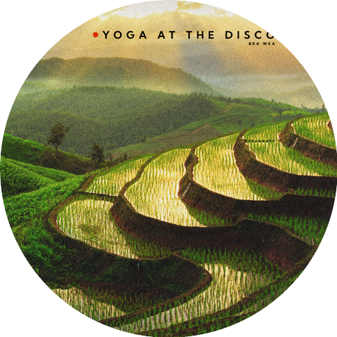 Yoga At The Disco
