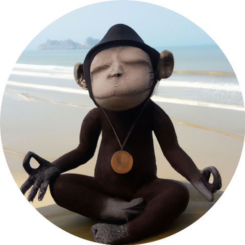 Jano the Quantum Monkey
