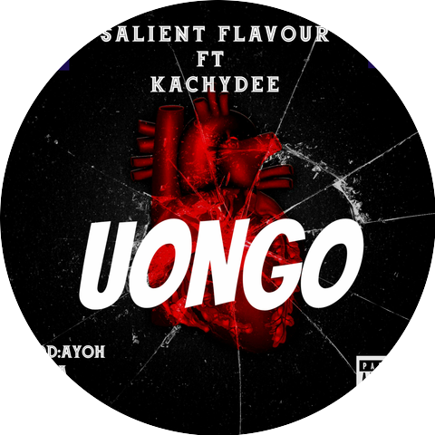 Salient Flavour