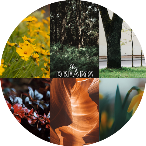 Sky Dreams