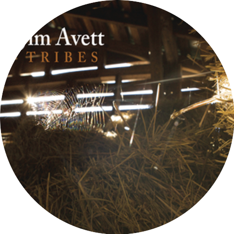 Jim Avett