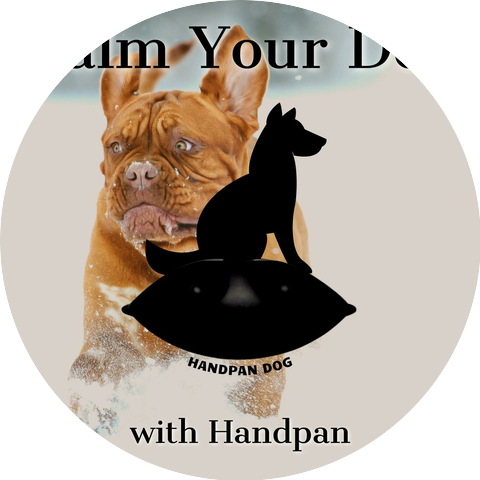 Handpan Dog