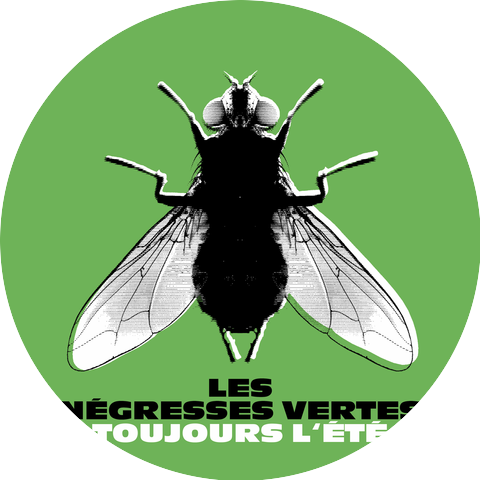 Les Négresses Vertes