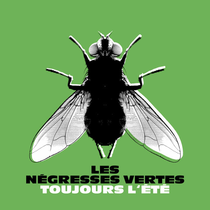 Les Négresses Vertes