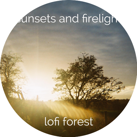 Lofi Forest