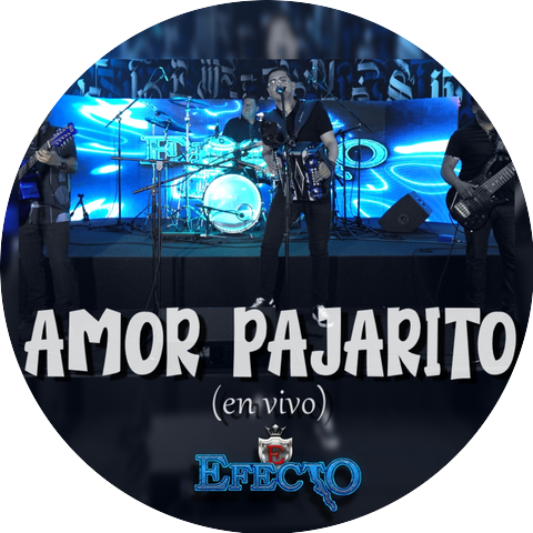 Grupo Efecto TJ