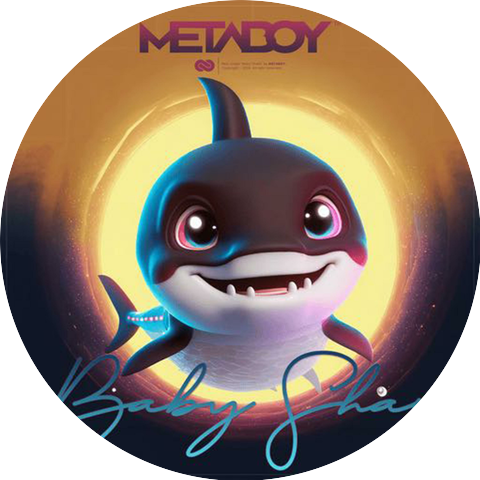 Metaboy