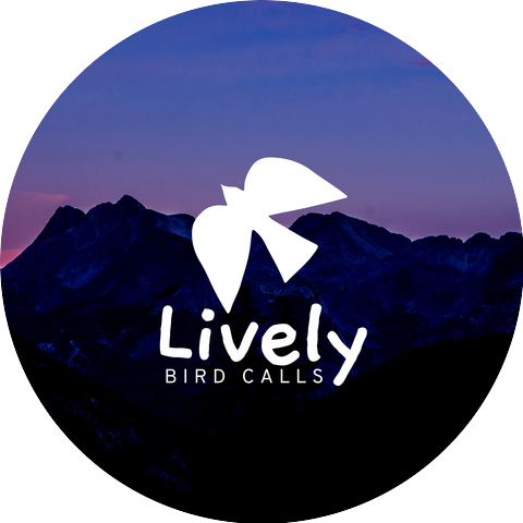 Lively Bird Calls