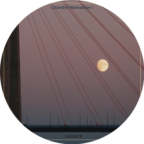 Andres Alborok & Lamat 8