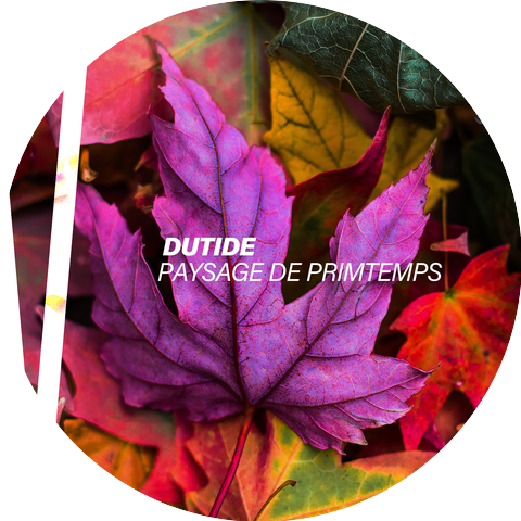 Dutide