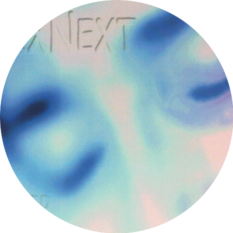 EXNEXT