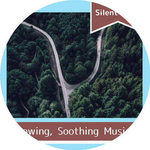 Silent Drips