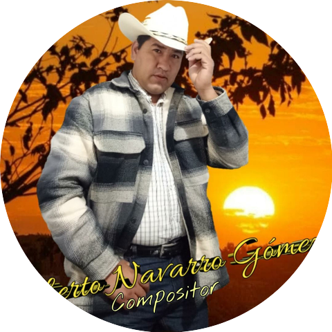 Roberto Navarro Gómez