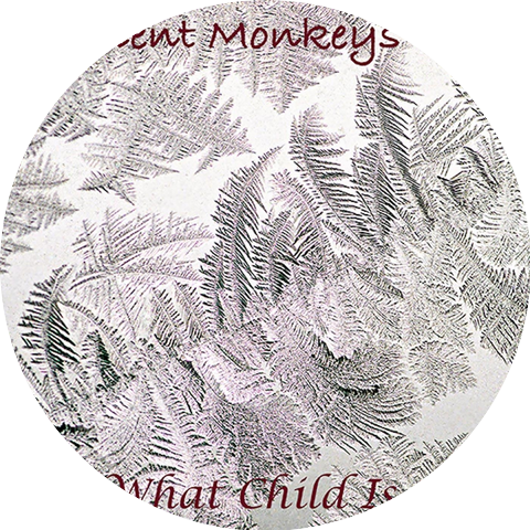 Ambient Monkeys
