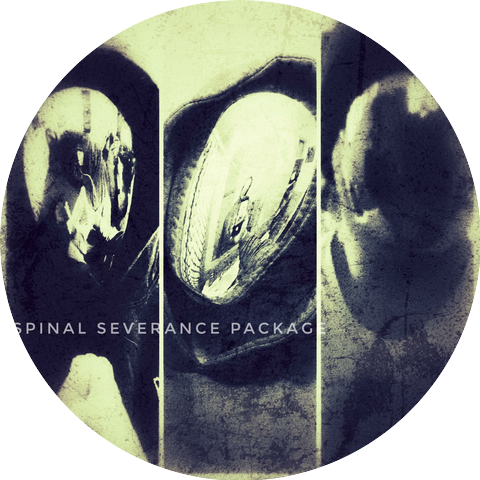 Spinal Severance Package